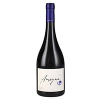 Vino Garcés Silva Amayna Syrah 750cc