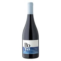 Vino Garcés Silva Boya Cabernet Franc 750cc