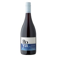 Vino Garcés Silva Boya Pinot Noir 750cc