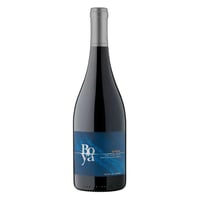 Vino Garcés Silva Boya Syrah 750cc