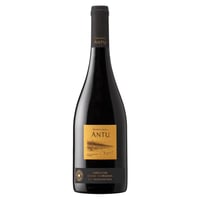Vino Montgras Antu Grenache-Syrah-Carignan 750ml
