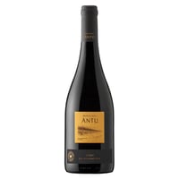 Vino Montgras Antu Syrah 750ml