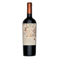 Vino Odfjell Armador Cabernet Sauvignon 750cc