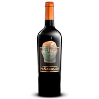 Vino Peñalolén Cabernet Sauvignon 750cc