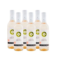 Vino Santa Digna Sauvignon Blanc 375cc (6 unidades)