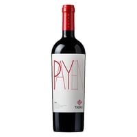 Vino Tabalí Payen Syrah 750cc