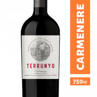 Vino Terrunyo - Carmenere 750ml