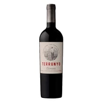 Vino Terrunyo Carmenere Botella 750cc