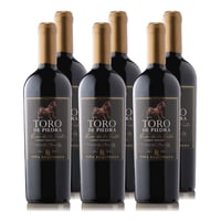 Vino Toro de Piedra Rincón de los Vientos Cabernet Sauvignon 750cc x6 (11.490 c/u)