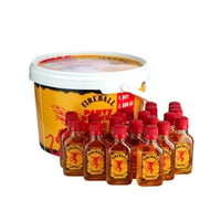 Whisky Fireball Cinnamon Party Bucket 20x50cc