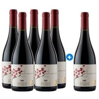 William Cole Gran Reserva Syrah Edición Aniversario (PAGUE 5 LLEVE 6) ($4.158 c/u)