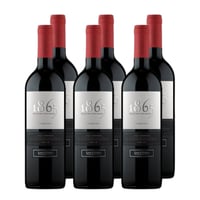 x6 Vino 1865 Selected Vineyards Carmenere 750cc ($10.790 c/u)