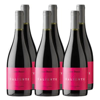 x6 Vino Casa Bauza Valiente Cabernet Sauvignon 750cc ($13.490 c/u)