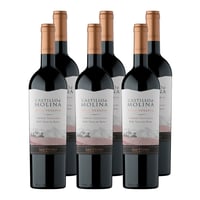 x6 Vino Castillo de Molina Gran reserva Cabernet Sauvignon 750cc ($5.590c/u)