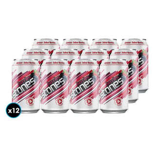 "12x Cerveza Berries Stones 350cc 2