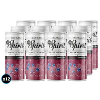 12x Coctel MG Spirit Blueberry 330cc 5.5°alc.
