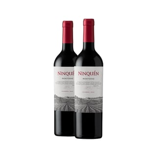 2 Vinos Montgras Ninquén 2021 Ícono Blend