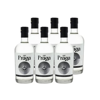 6x Gin Praga Dry 38° 700cc