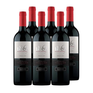 6x Vino 1865 Selected Vineyard Cepas 750cc