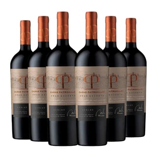 6x Vino Casas Patronales Gran Reserva Merlot - 750ml