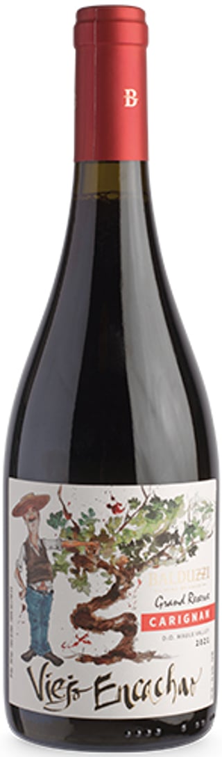 Balduzzi Viejo Encachao Carignan 2021