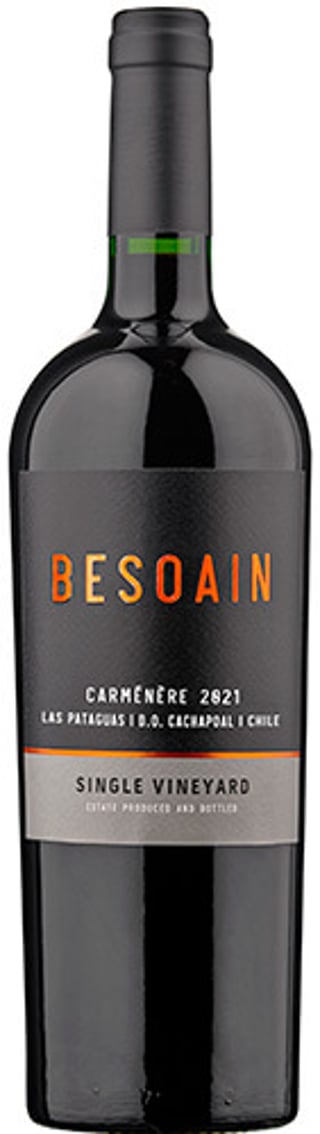 Besoain Single Vineyard Carmenere 2021