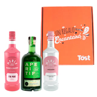 Box Catador Gin & Aperitif Merle