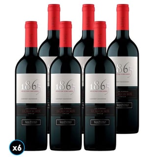 CAJA 1865 SINGLE VINEYARD (Cabernet Sauvignon): 6x Vino 1865 Single Vineyard Cabernet Sauvignon 750cc