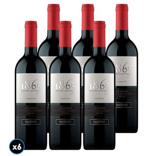 CAJA 1865 SINGLE VINEYARD (Carmenere): 6x Vino 1865 Single Vineyard Carmenere 750cc