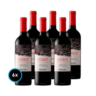 CAJA COYAM: 6x Vinos Orgánico COYAM 750cc