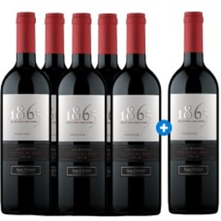 Caja de 6 Botellas 1865 San Pedro Carmenere 750cc (PAGUE 5, LLEVE 6) ($8.983 c/u)