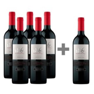 Caja de 6 Botellas 1865 San Pedro Merlot (PAGUE 5, LLEVE 6) ($8.983 c/u)