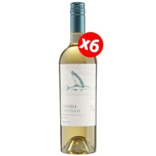 Caja de 6 botellas de Odfjell Capítulo Chardonnay ($4.990 c/u)