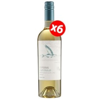 Caja de 6 botellas de Odfjell Capítulo Sauvignon Blanc ($4.990 c/u)