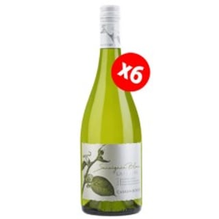 Caja de 6 Botellas La Cantera Sauvignon Blanc, Casas del Bosque 750cc ($6.990 c/u)
