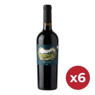 Caja de 6 Unidades Carmenère Gran Reserva Casa Marín 750 ml ($5.990 c/u)