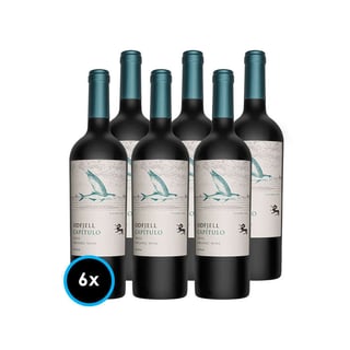 CAJA ODFJELL FLYING FISH: 6x Vinos Odfjell Gran Reserva Capítulo Flying Fish (CA/CS/MA/SY) 750cc