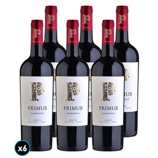 CAJA PRIMUS ORGÁNICO (Carmenere): 6x Vino Primus Carmenere Orgánico 750cc