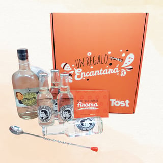 Caja Tost Gin Maestro Premium Tonic