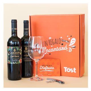 Caja Tost Vino Carmen Deluxe