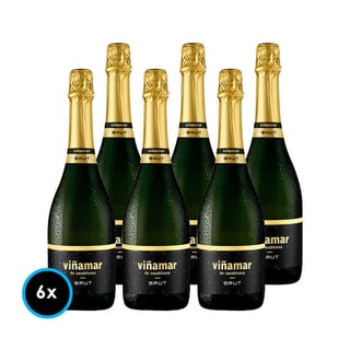 CAJA VIÑAMAR BRUT: 6x Espumantes Viñamar Charmat Brut 750cc