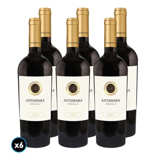 CAJA VINO ANTAWARA RESERVA (Carmenere): 6x Vino Antawara Reserva Carmenere 750cc