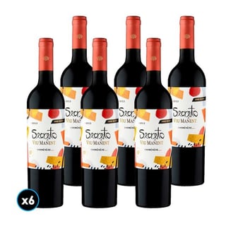 CAJA VIU MANENT GR SECRETO (Carmenere): 6x Vino Viu Manent Gran Reserva Secreto Carmenere 750cc