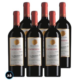 CAJA VON SIEBENTHAL GR (Carmenere): 6x Vino Von Siebenthal Gran Reserva Carmenere 750cc