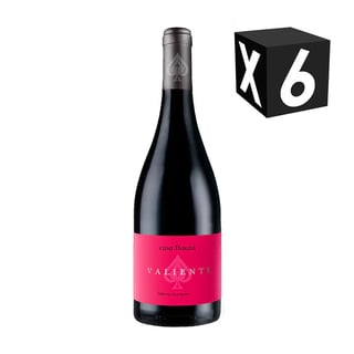 Caja X6 – Casa Bauza Valiente Cabernet Sauvignon