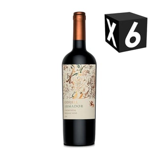 Caja X6 – Vino Odfjell Armador Cabernet Sauvignon