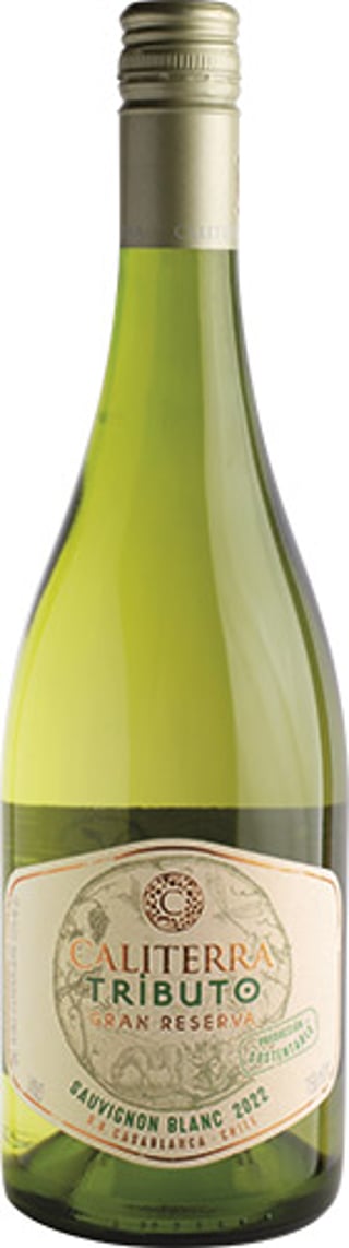 Caliterra Tributo Sauvignon Blanc Gran Reserva 2023