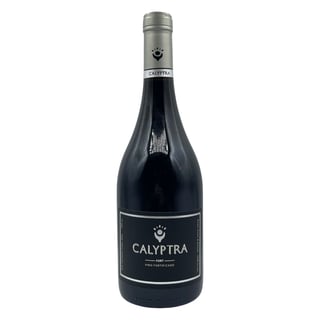Calyptra Fort