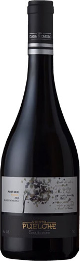 Casa Romero Viento Puelche Pinot Noir 2022