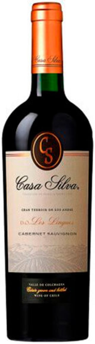 Casa Silva Gran Terroir De Los Andes C. Sauvignon 2022